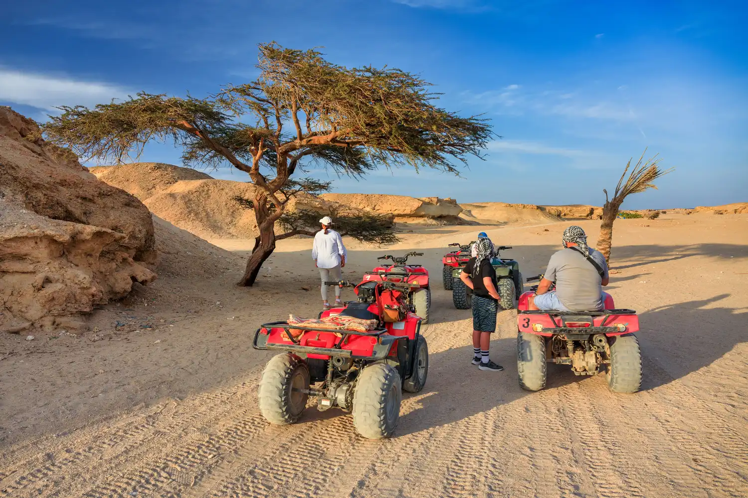 Quad Trip