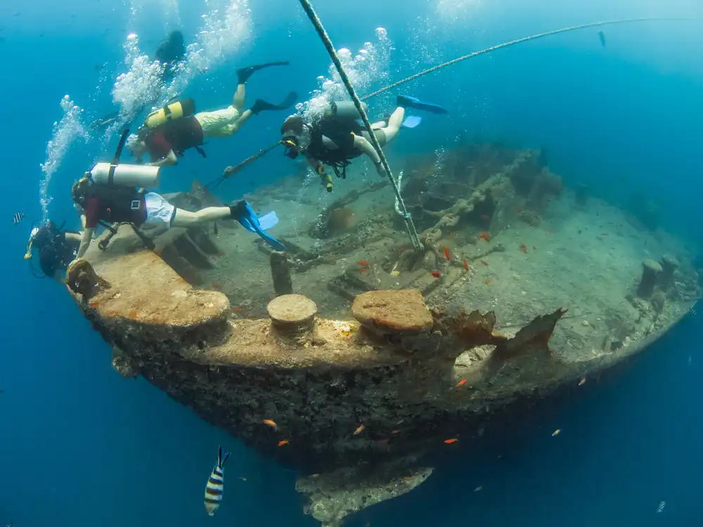 Thistlegorm